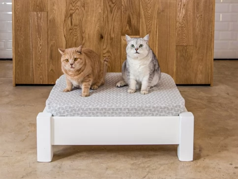 Raised Wooden Pet Bed Pet Beds Wooden Bed